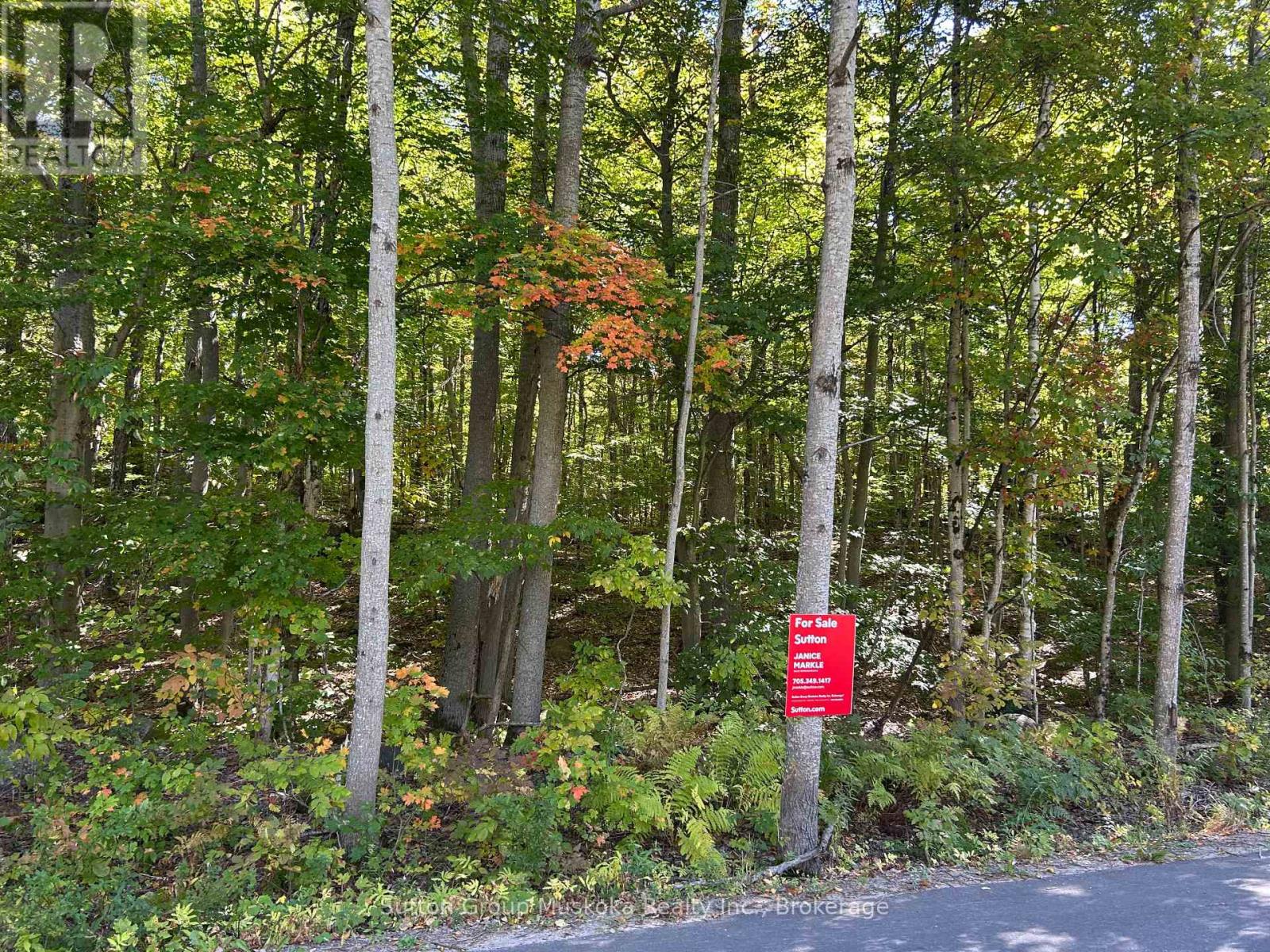 0 Tally Ho Winter Park Road, Lake Of Bays, Ontario P1H 2J3 - Photo 2 - X13771760
