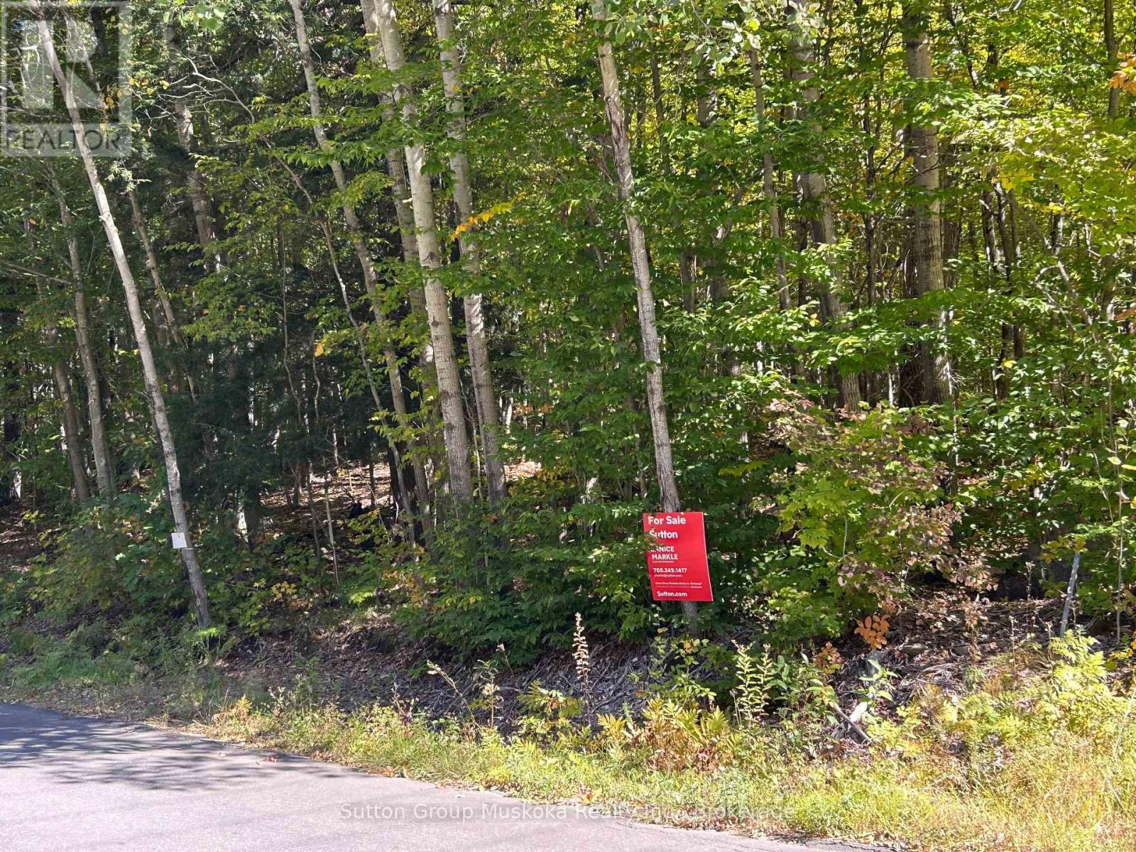 0 Tally Ho Winter Park Road, Lake Of Bays, Ontario P1H 2J3 - Photo 8 - X13771760