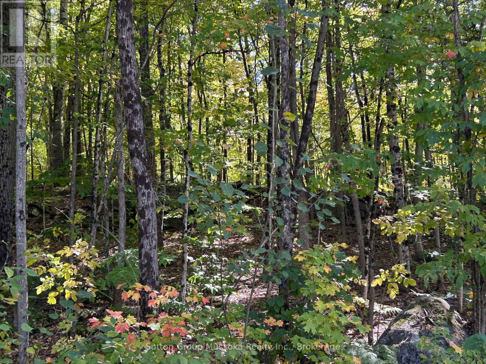 0 Tally Ho Winter Park Road, Lake Of Bays, Ontario P1H 2J3 - Photo 3 - X13771760