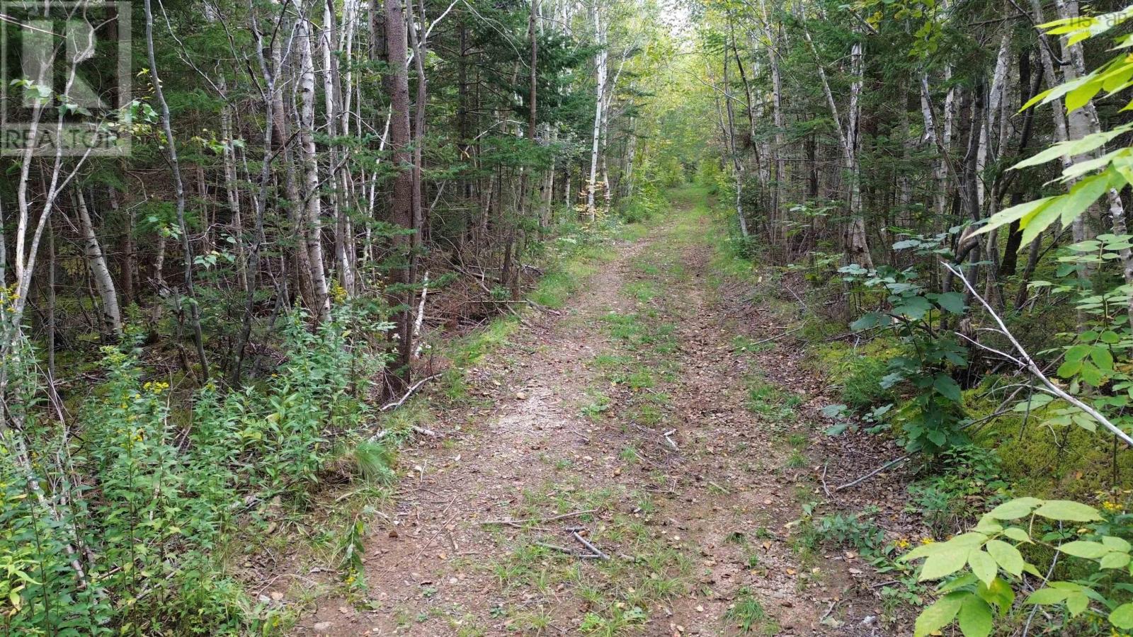 Lot 1 Seaman Street, Margaretsville, Nova Scotia  B0S 1N0 - Photo 8 - 202624544
