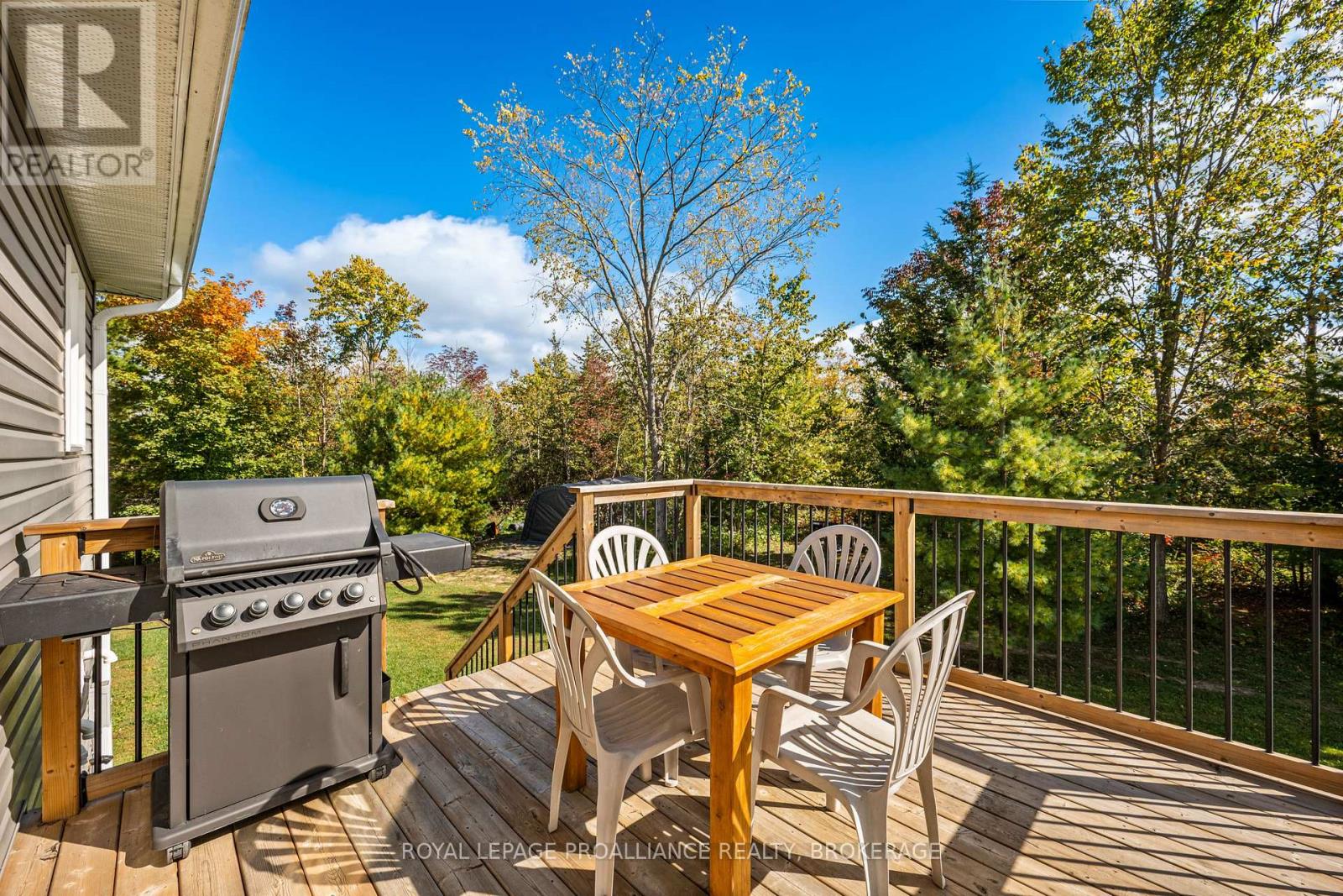 12 Petworth Road, Stone Mills, Ontario  K0K 3N0 - Photo 39 - X13834308