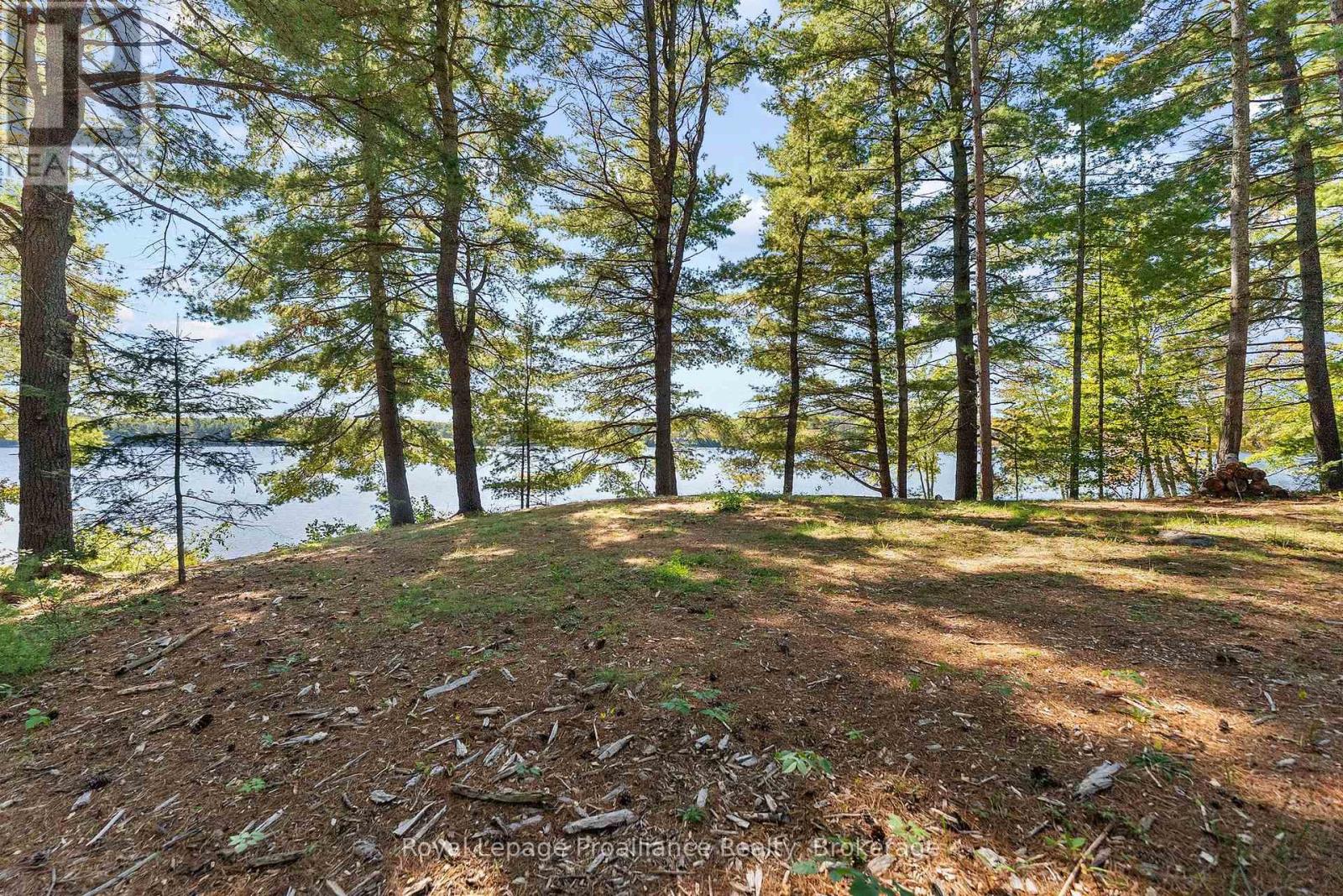 18 Swan Lane, Madawaska Valley, Ontario  K0J 1B0 - Photo 35 - X13844814