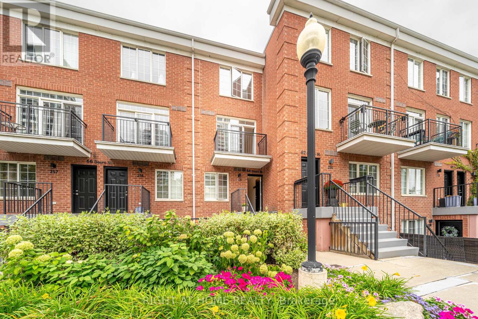 255 - 64 DOURO STREET, Toronto, Ontario