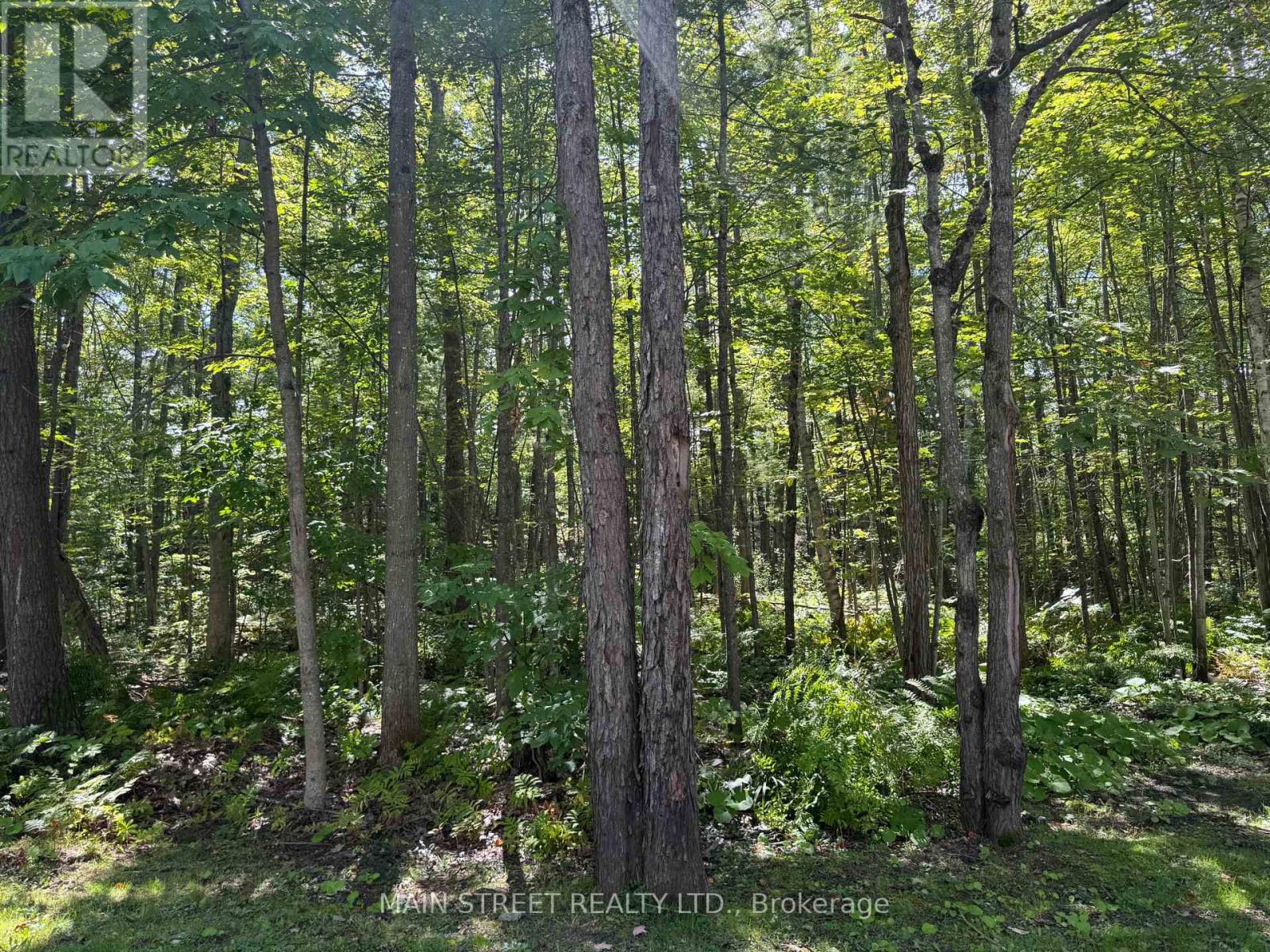 21 - 1007 Racoon Road, Gravenhurst, Ontario  P1P 0C2 - Photo 31 - X13845098