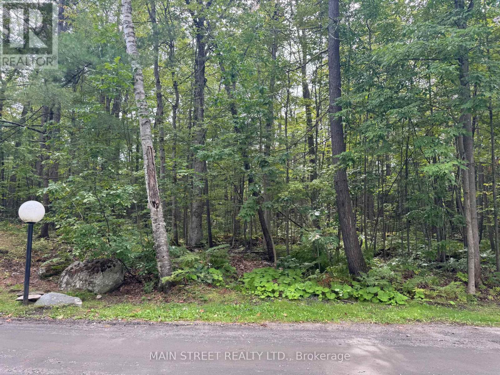 21 - 1007 Racoon Road, Gravenhurst, Ontario  P1P 0C2 - Photo 32 - X13845098