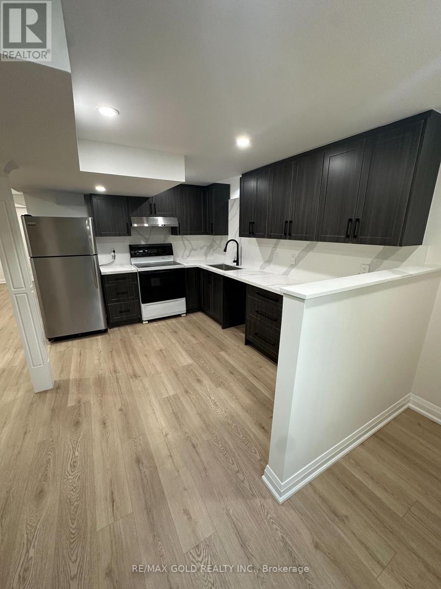 Lower Level - 18 Hullen Crescent, Toronto, Ontario  M9W 7C1 - Photo 11 - W13578014
