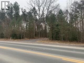0 County Rd 42, Trent Hills, Ontario