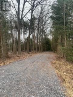 0 County Rd 42, Trent Hills, Ontario K0L 1Z0 - Photo 2 - X13845280