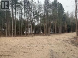 0 County Rd 42, Trent Hills, Ontario K0L 1Z0 - Photo 3 - X13845280