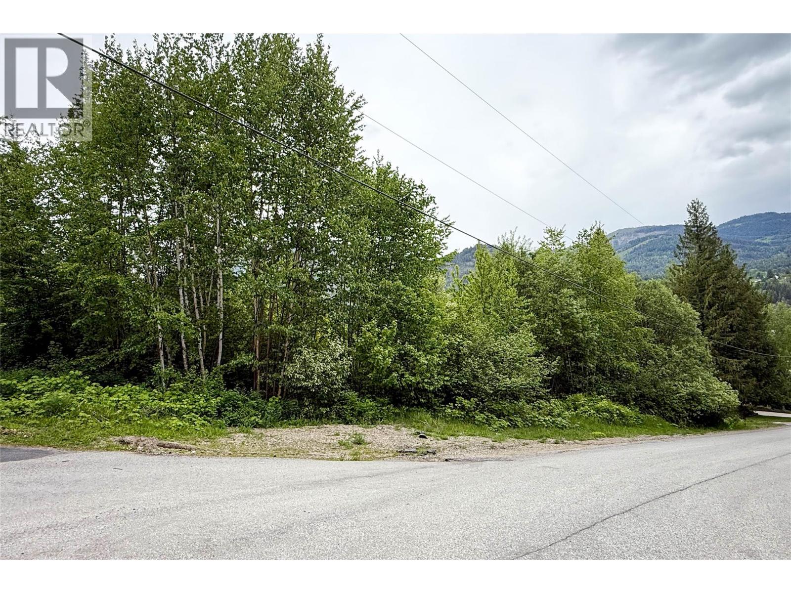 28 Evergreen Avenue, Fruitvale, British Columbia  V0G 1L0 - Photo 7 - 10328557