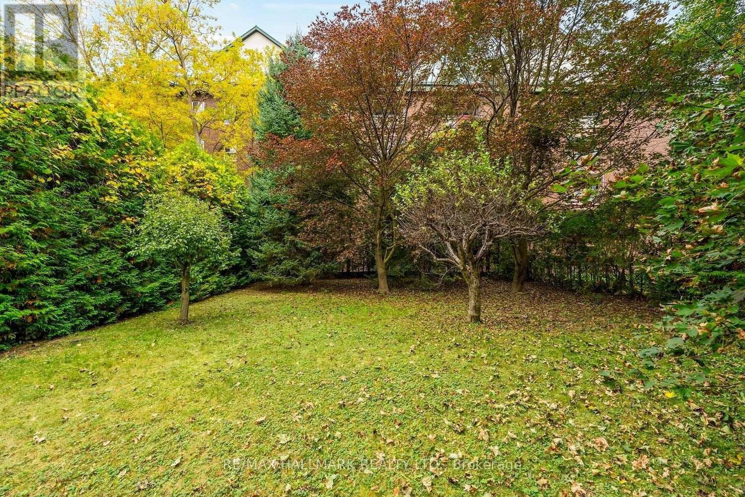245 Elmwood Avenue, Richmond Hill, Ontario  L4C 1L3 - Photo 27 - N13824940