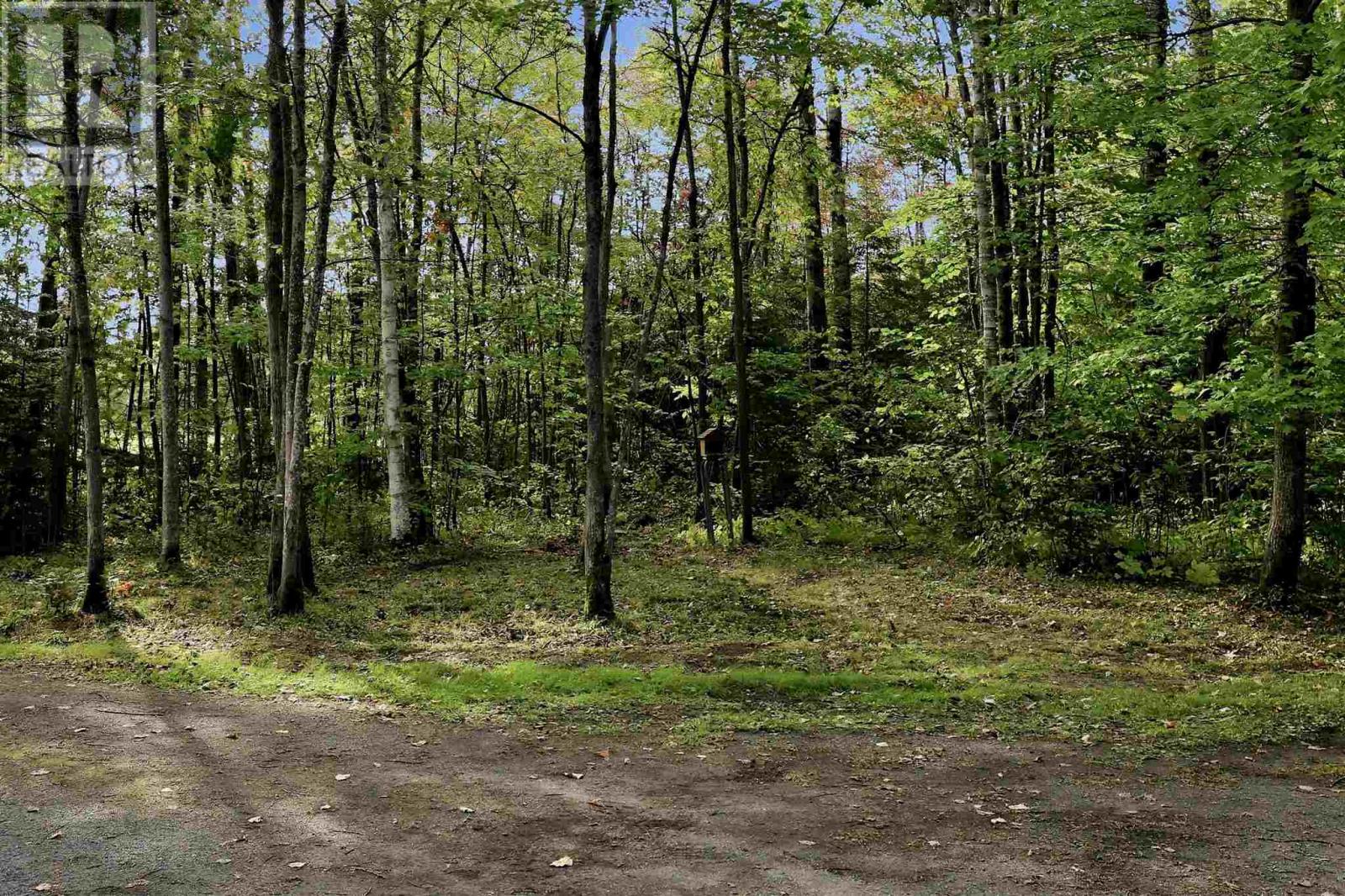 190 Town Line Rd E, Laird, Ontario  P0S 1C0 - Photo 39 - SM262702