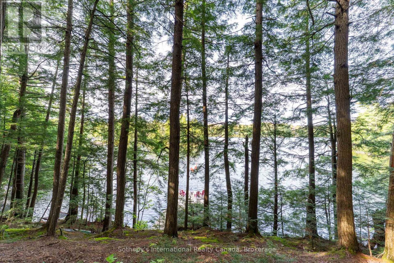 1058 Timber Trail, Bracebridge (Oakley), Ontario  P1L 1X1 - Photo 32 - X13846070