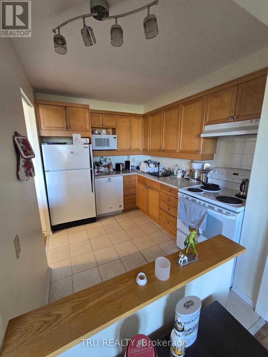 507 - 915 Elmsmere Road, Ottawa, Ontario  K1J 8H8 - Photo 13 - X13846118