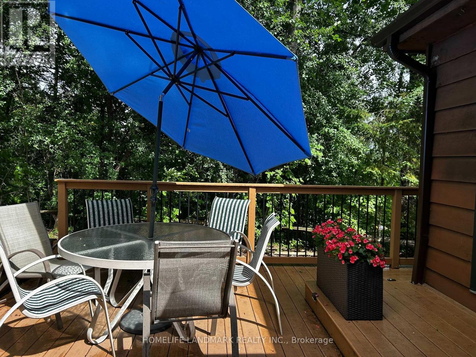 642 North Shore Dr E Drive, Otonabee-South Monaghan, Ontario  K0L 1B0 - Photo 23 - X13842038