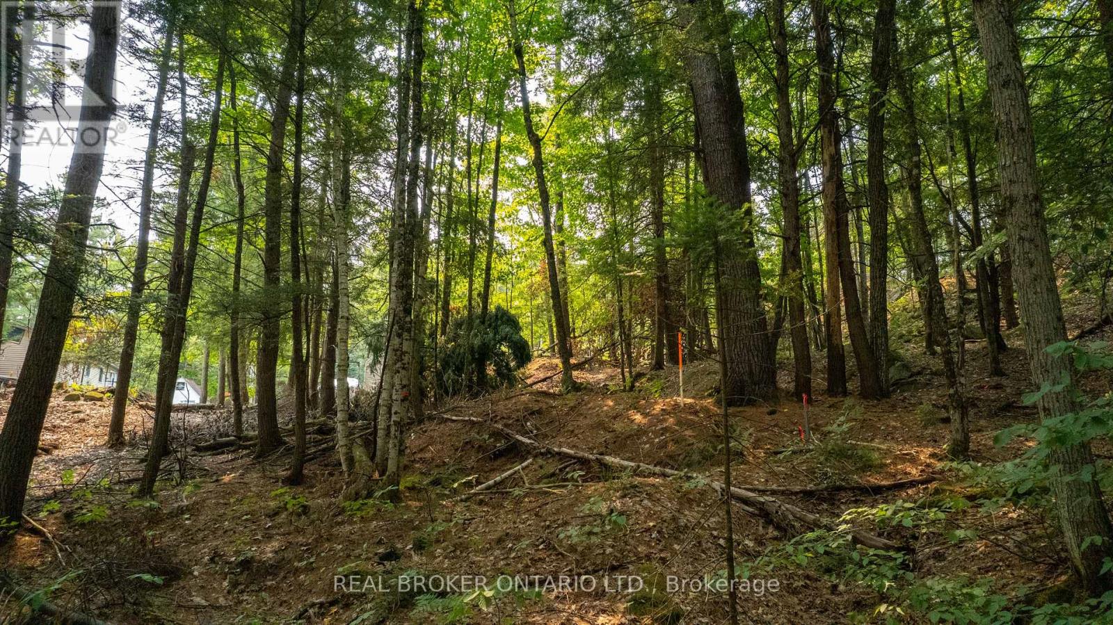 Lot 13 4 Wheel Drive, Gravenhurst, Ontario  P0E 1G0 - Photo 15 - X13037180