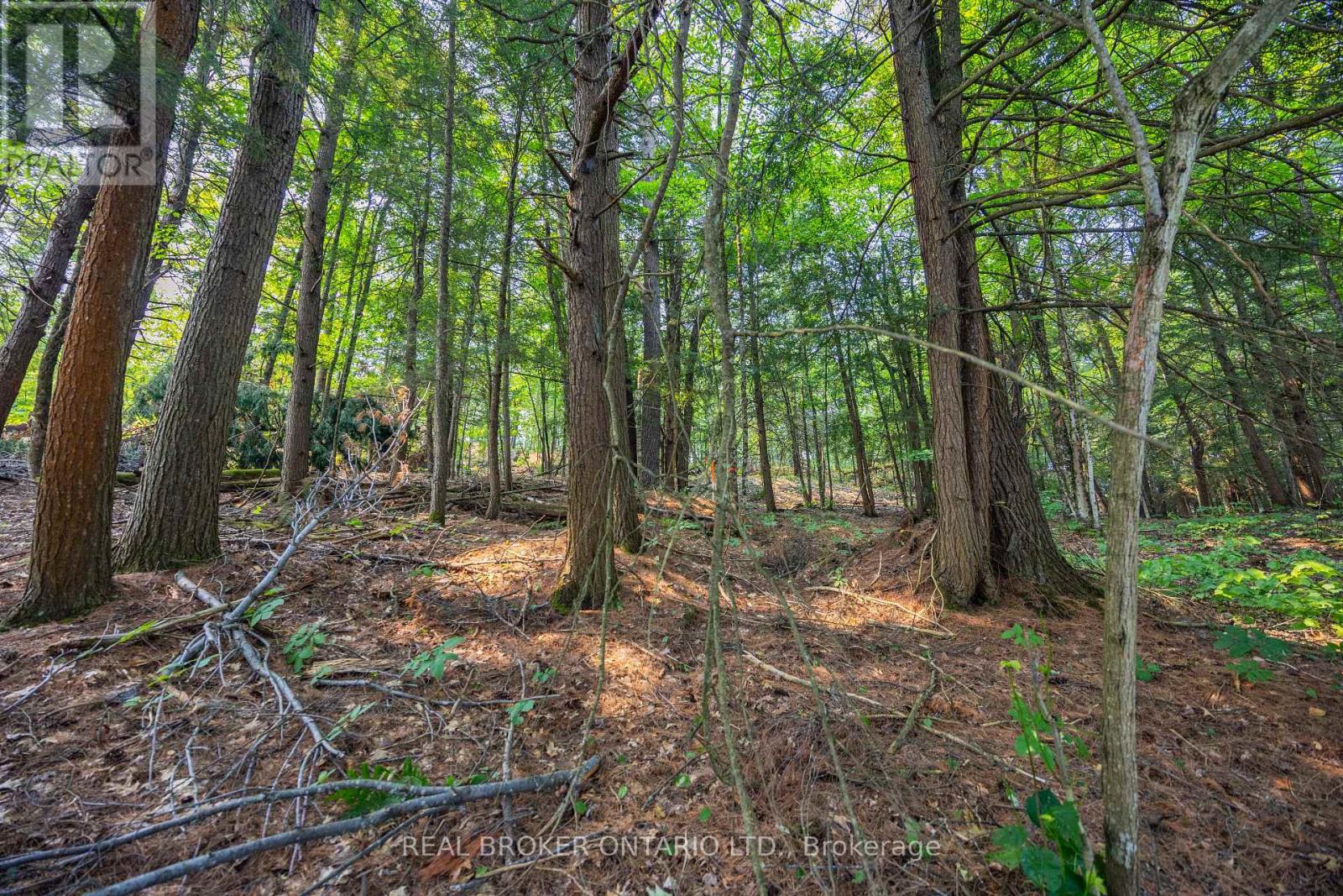 Lot 13 4 Wheel Drive, Gravenhurst, Ontario  P0E 1G0 - Photo 12 - X13037180