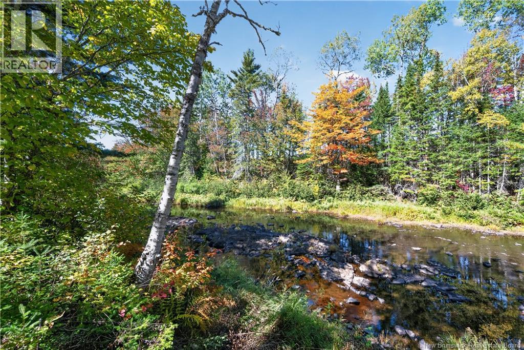 5 Brooks Road, Havelock, New Brunswick  E4Z 0G3 - Photo 42 - NB148620