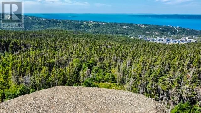 18 Tuckford Road, St. Philips, Newfoundland & Labrador  A1M 1R7 - Photo 3 - 1294170