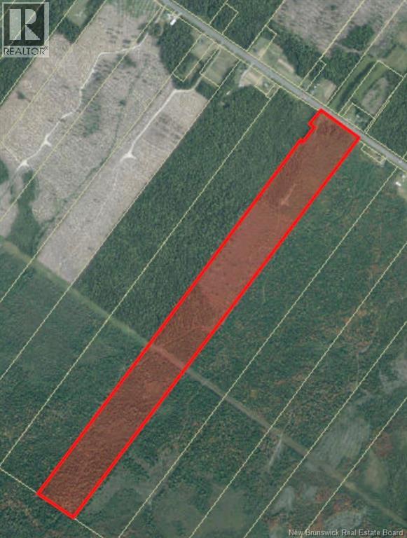 Vacant Lot Route 11, Redmondville, New Brunswick  E1N 5C7 - Photo 1 - NB148838