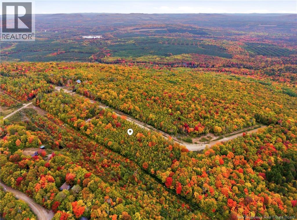 Na Raven Ridge Road, Central Hainesville, New Brunswick  O0O 0O0 - Photo 6 - NB148621