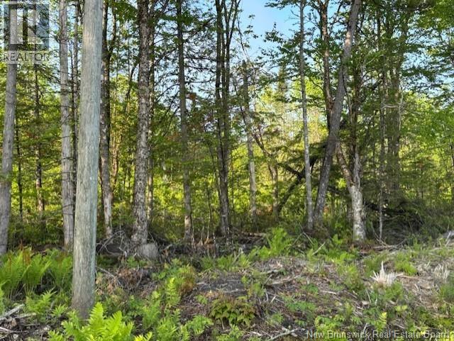 000 Upper Tower Hill Road, Tower Hill, New Brunswick  E5A 2P3 - Photo 3 - NB148760