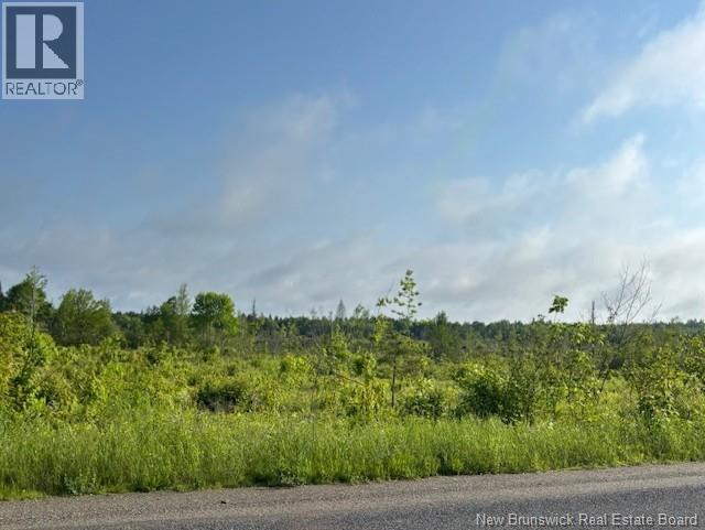 000 Upper Tower Hill Road, Tower Hill, New Brunswick  E5A 2P3 - Photo 10 - NB148760