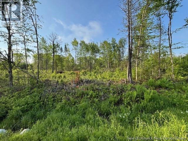 000 Upper Tower Hill Road, Tower Hill, New Brunswick  E5A 2P3 - Photo 1 - NB148762