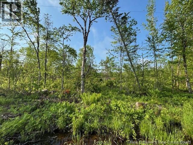 000 Upper Tower Hill Road, Tower Hill, New Brunswick  E5A 2P3 - Photo 3 - NB148762