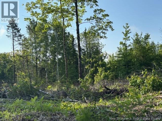 000 Upper Tower Hill Road, Tower Hill, New Brunswick  E5A 2P3 - Photo 5 - NB148762