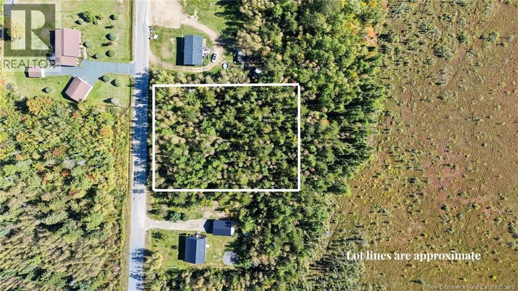 Lot Ch Saint Paul, Rogersville, New Brunswick  E4Y 1V9 - Photo 7 - NB148773