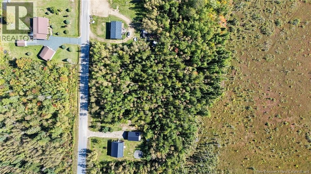 Lot Ch Saint Paul, Rogersville, New Brunswick  E4Y 1V9 - Photo 8 - NB148773