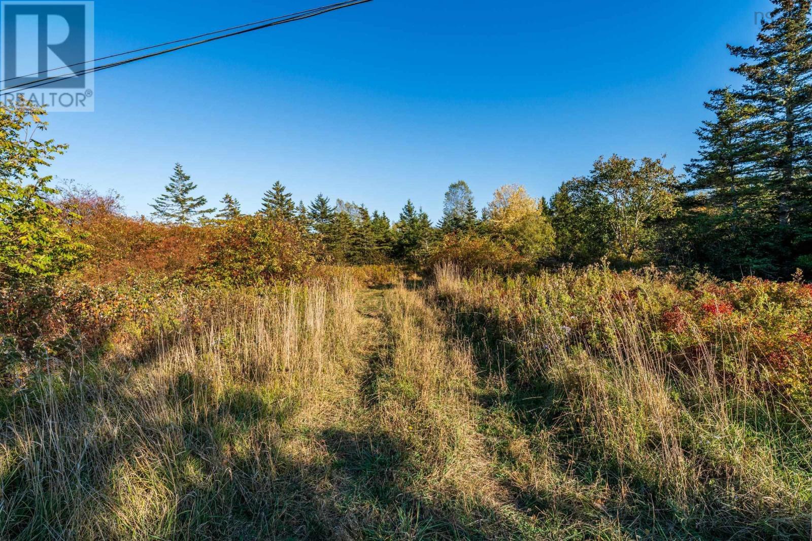 Lot Fort Point Road, Ashmore, Nova Scotia B0W 3T0 - Photo 12 - 202525541