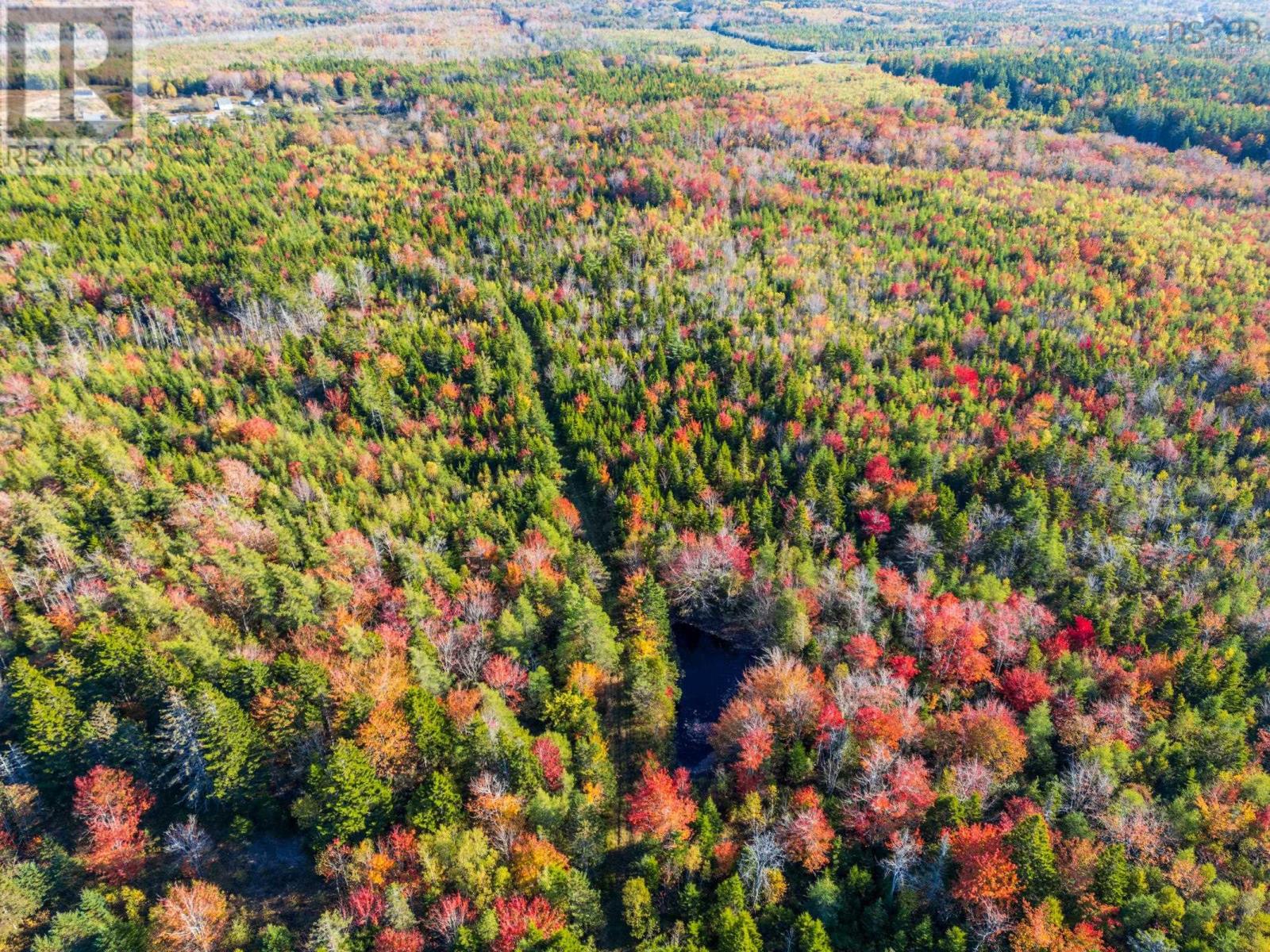 Lot Fort Point Road, Ashmore, Nova Scotia B0W 3T0 - Photo 4 - 202525541