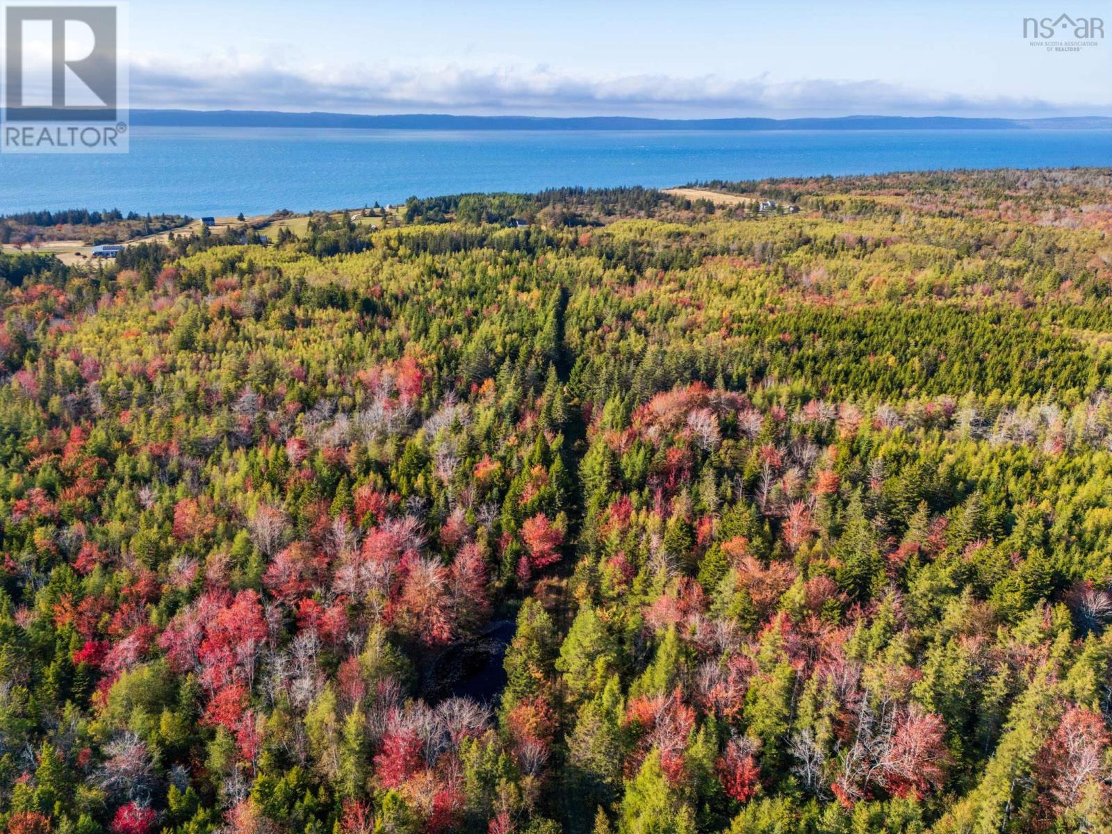 Lot Fort Point Road, Ashmore, Nova Scotia B0W 3T0 - Photo 6 - 202525541