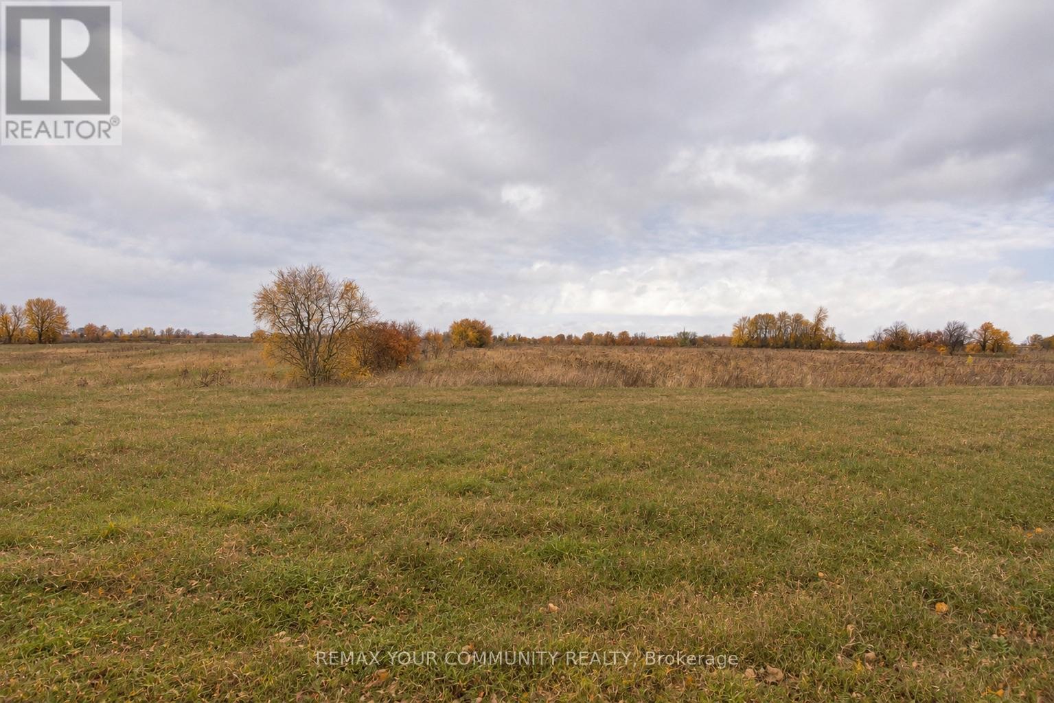 16 Don Hadden Crescent, Brock, Ontario  L0C 1H0 - Photo 25 - N13819652