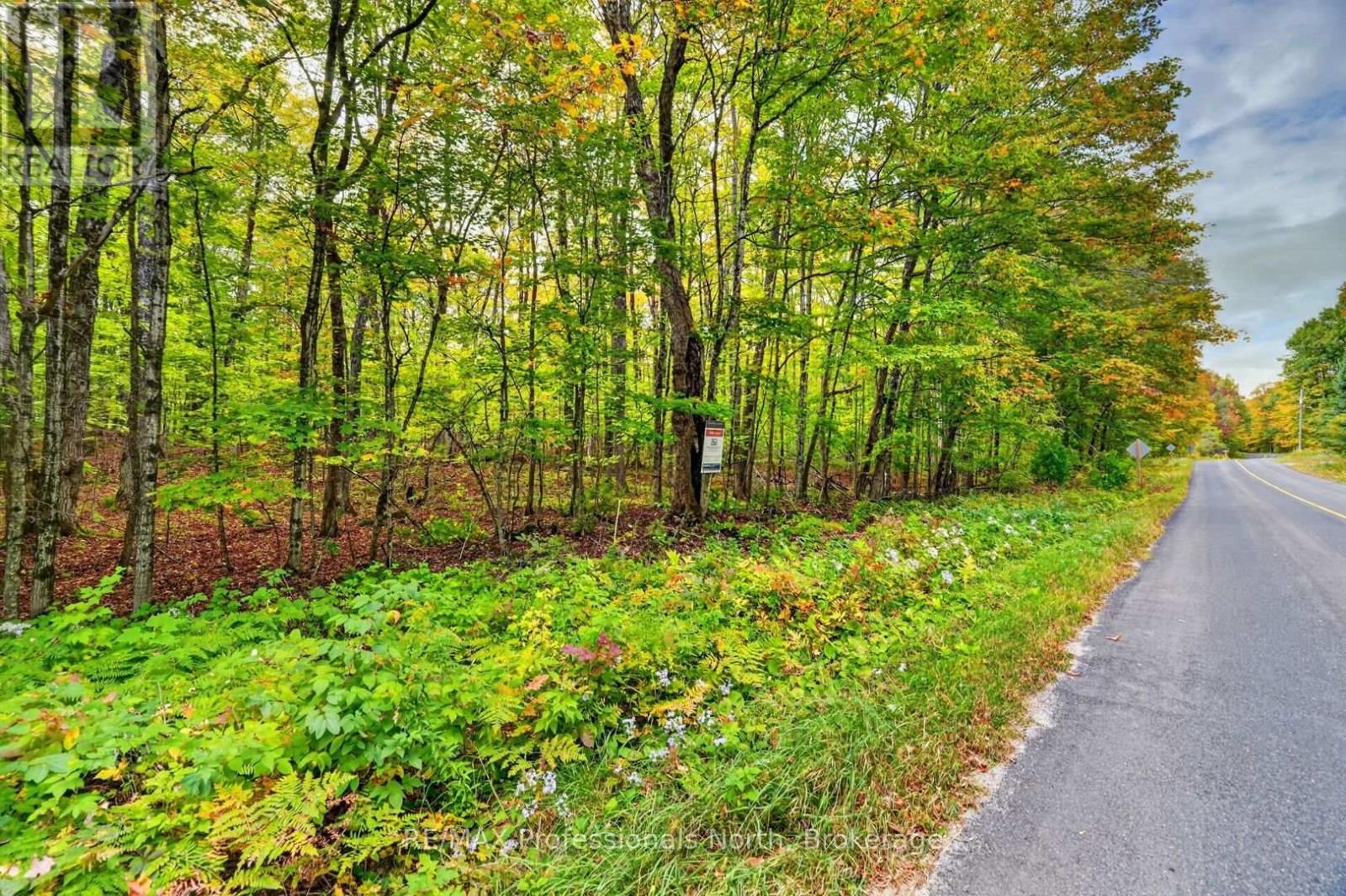 1102 Parallel Falls Lane, Minden Hills, Ontario  K0M 2K0 - Photo 37 - X13846746