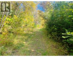 180 Route 630, Andersonville, New Brunswick