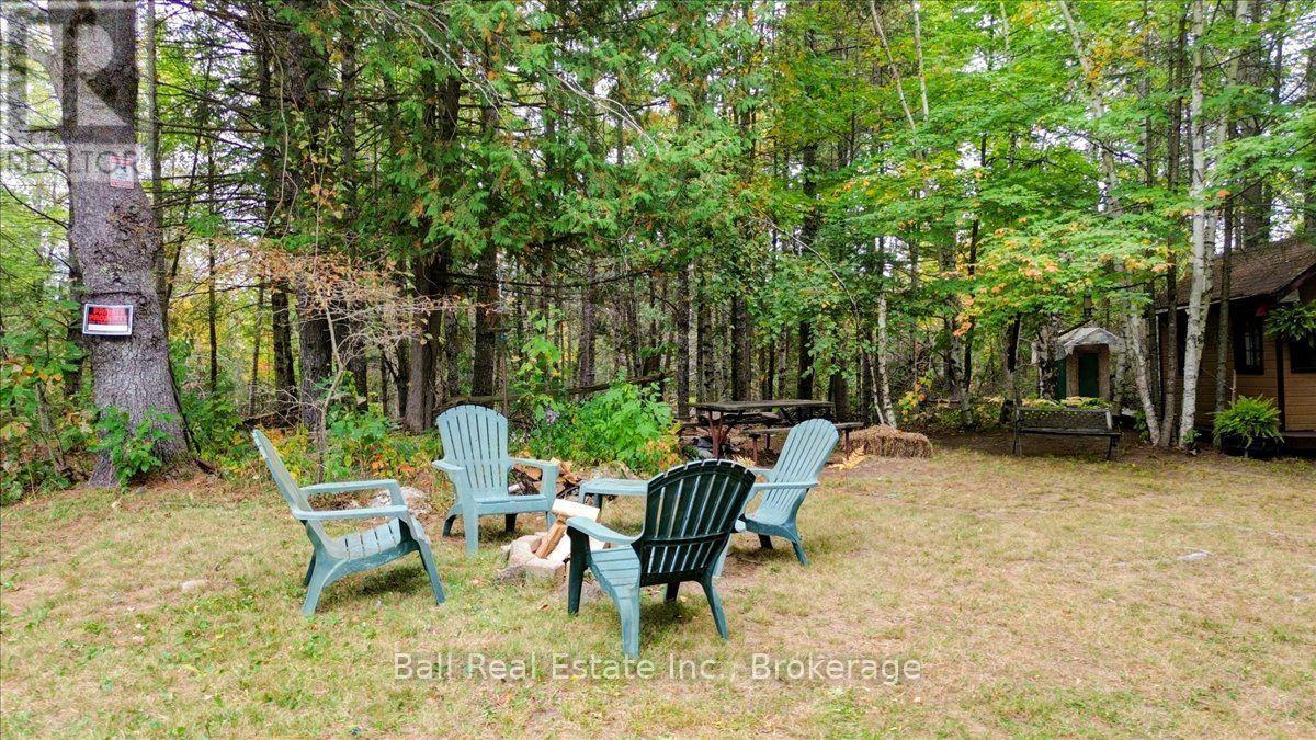 N/a Coon Lake Road, North Kawartha, Ontario K0L 1A0 - Photo 10 - X13847170