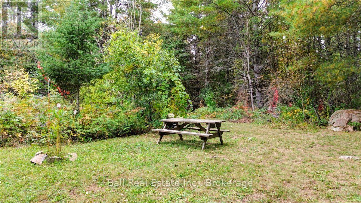 N/a Coon Lake Road, North Kawartha, Ontario K0L 1A0 - Photo 11 - X13847170