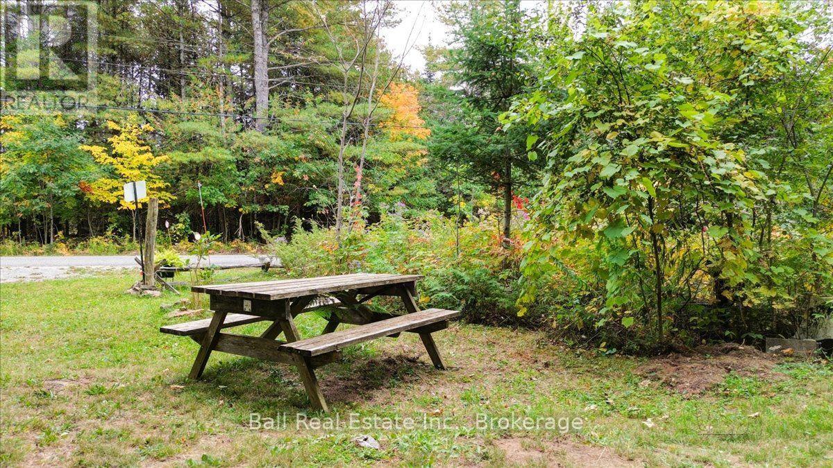 N/a Coon Lake Road, North Kawartha, Ontario K0L 1A0 - Photo 12 - X13847170