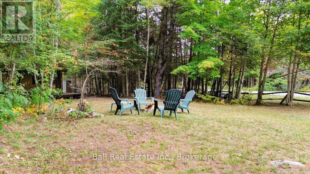 N/a Coon Lake Road, North Kawartha, Ontario K0L 1A0 - Photo 13 - X13847170