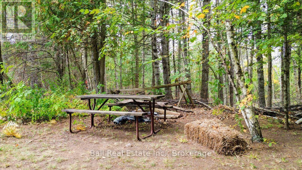N/a Coon Lake Road, North Kawartha, Ontario K0L 1A0 - Photo 17 - X13847170