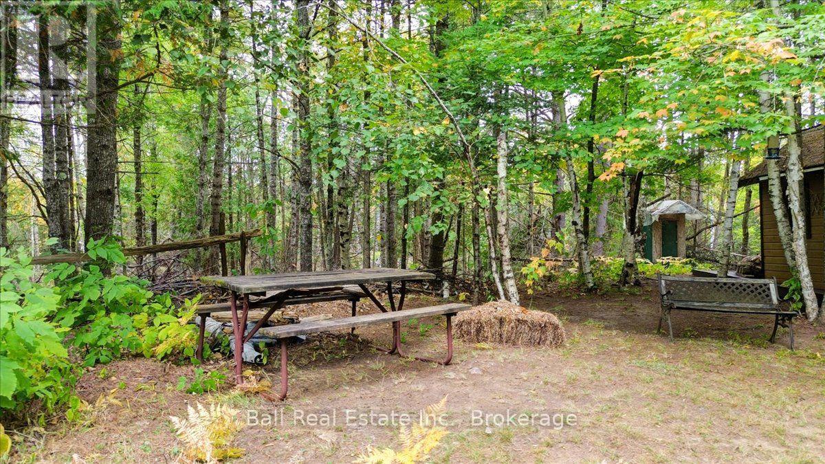 N/a Coon Lake Road, North Kawartha, Ontario K0L 1A0 - Photo 19 - X13847170