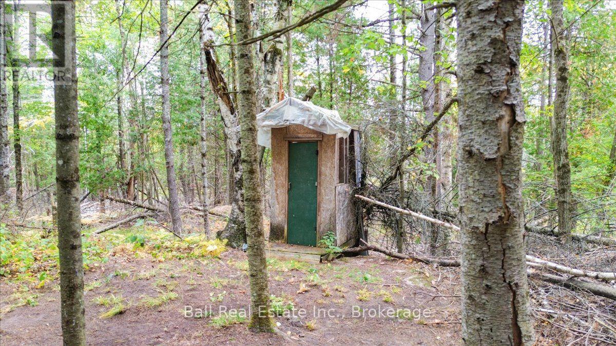 N/a Coon Lake Road, North Kawartha, Ontario K0L 1A0 - Photo 21 - X13847170