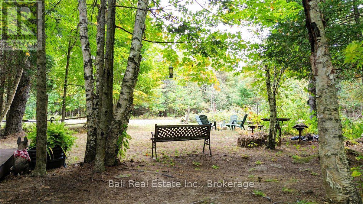 N/a Coon Lake Road, North Kawartha, Ontario K0L 1A0 - Photo 24 - X13847170