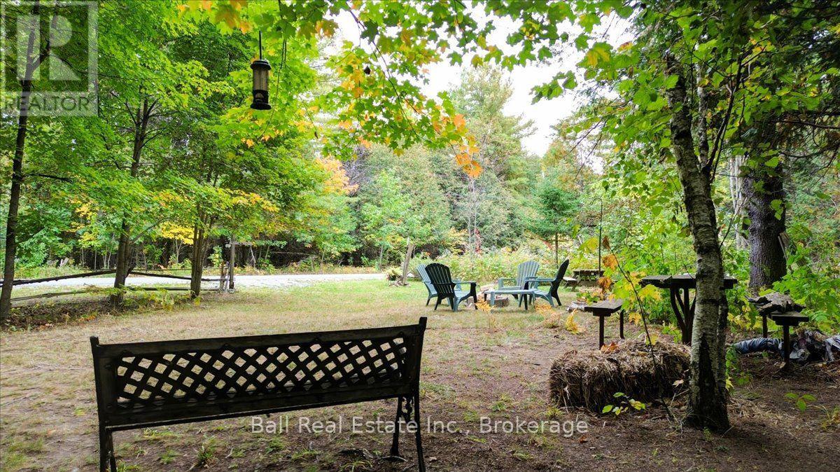 N/a Coon Lake Road, North Kawartha, Ontario K0L 1A0 - Photo 25 - X13847170