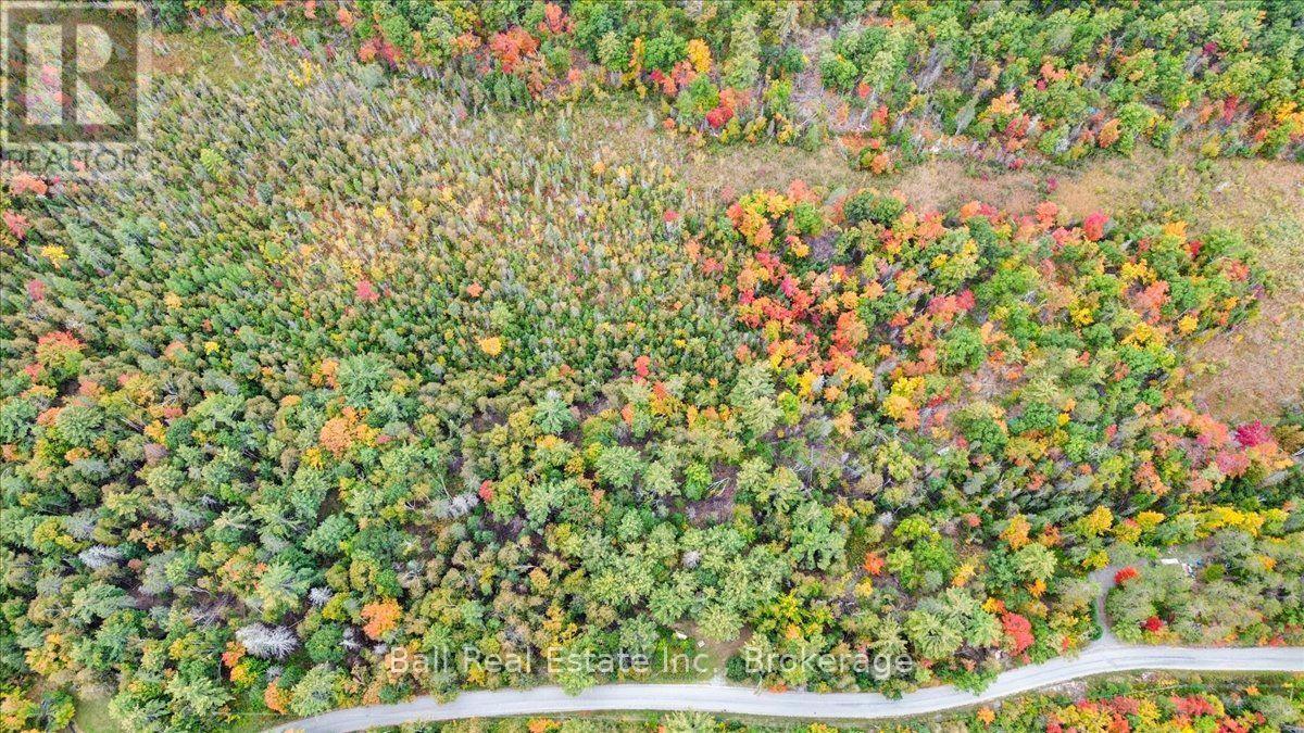 N/a Coon Lake Road, North Kawartha, Ontario K0L 1A0 - Photo 31 - X13847170