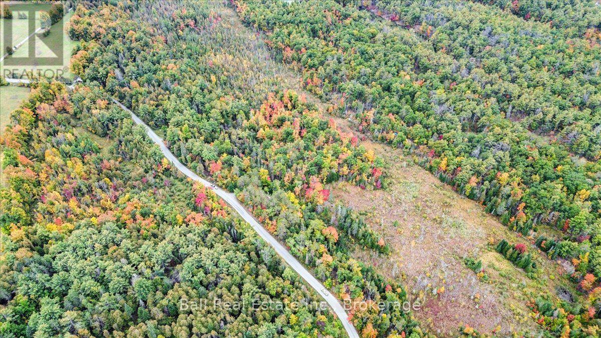 N/a Coon Lake Road, North Kawartha, Ontario K0L 1A0 - Photo 33 - X13847170