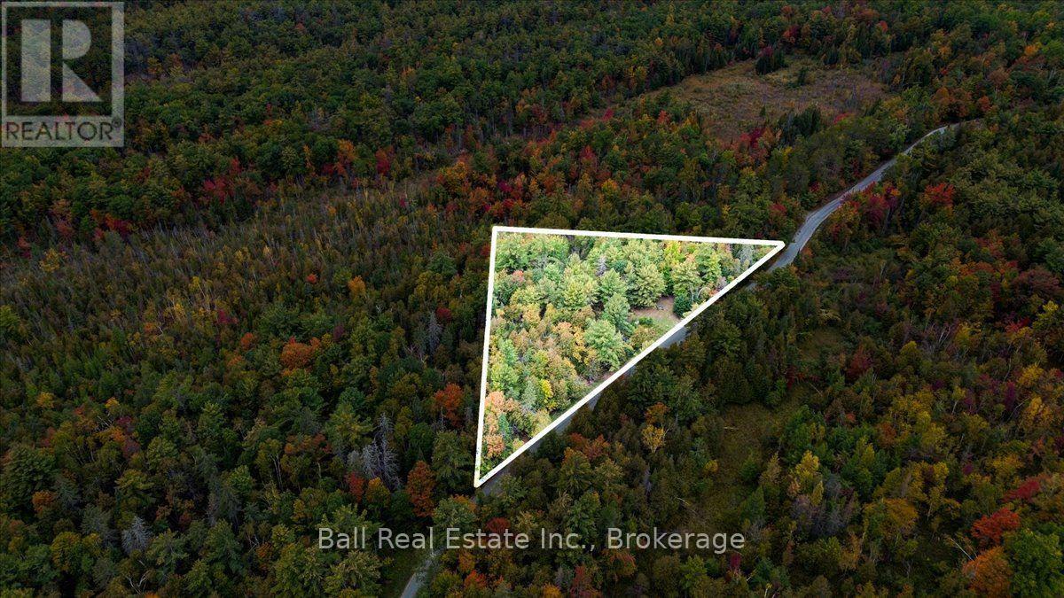 N/a Coon Lake Road, North Kawartha, Ontario K0L 1A0 - Photo 34 - X13847170